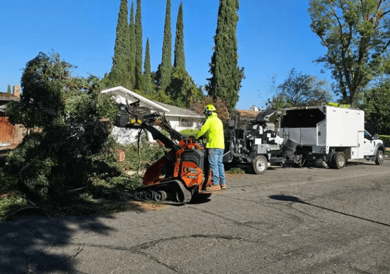 Professional brush chipping on location