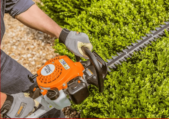 Shrub, Hedge & Bush Trimming - photo 2
