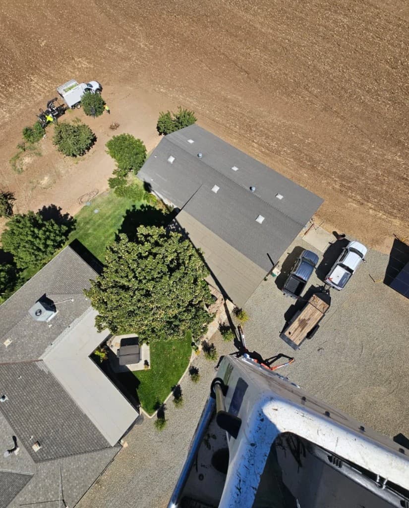 Anderson Tree Service equipment working near mature trees