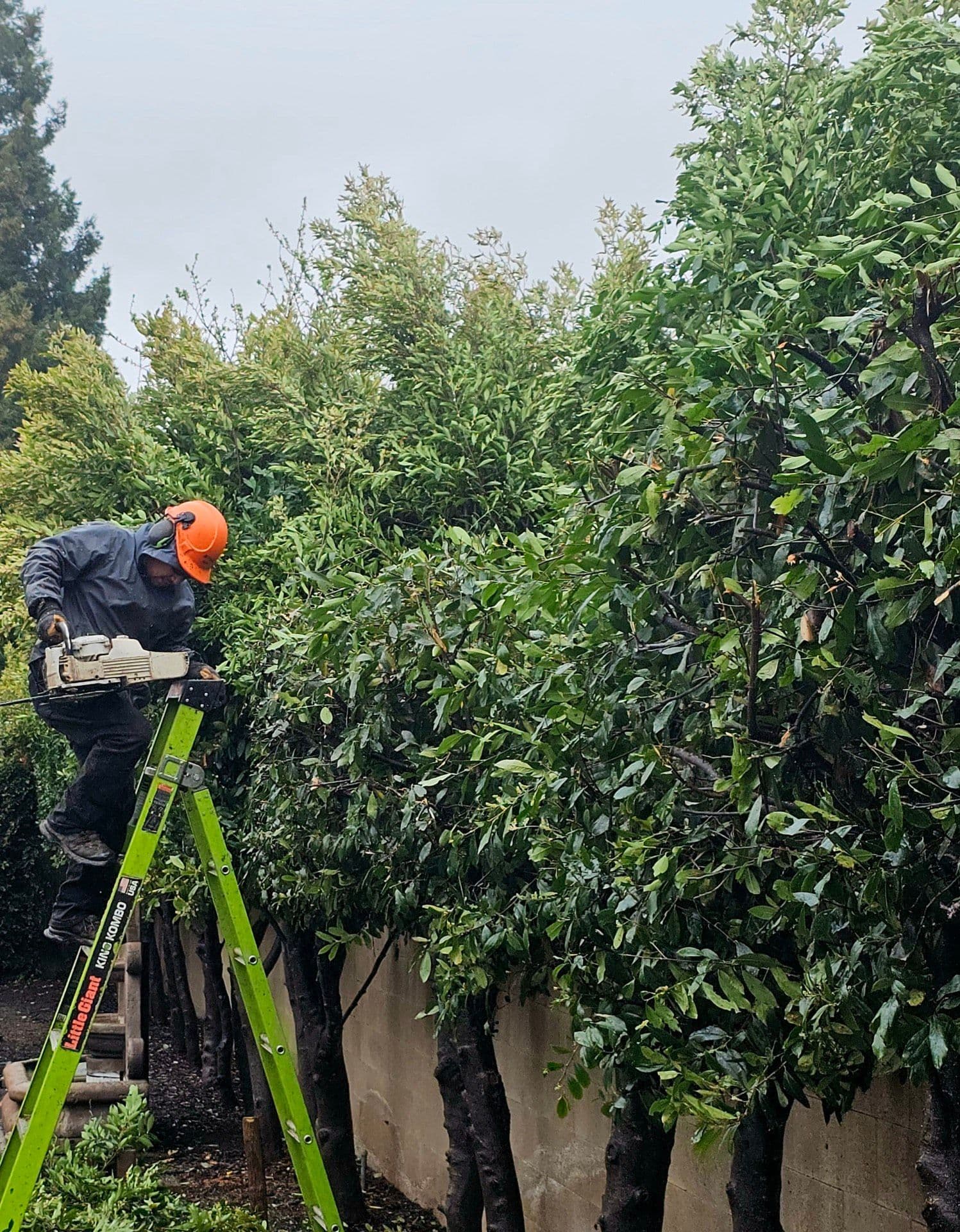 Brush Chipping