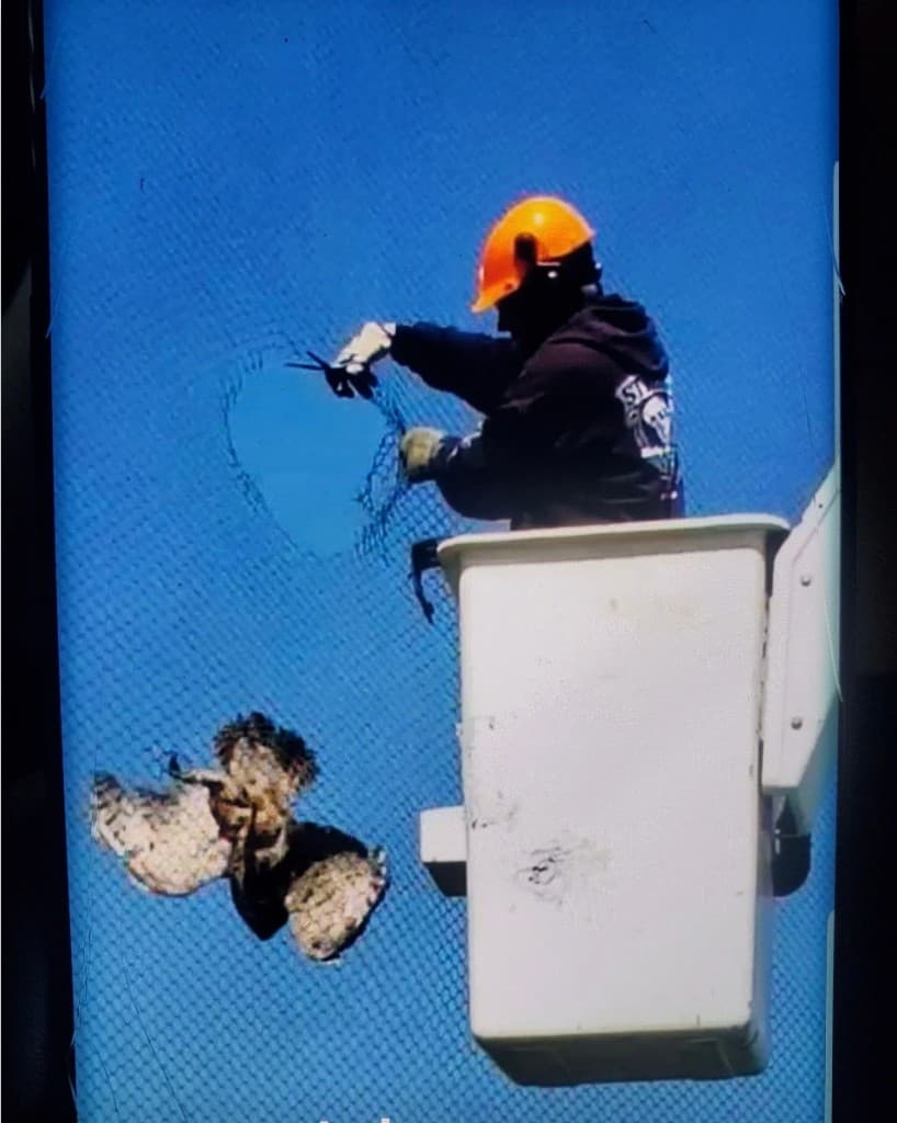 Emergency Tree Services - photo 3