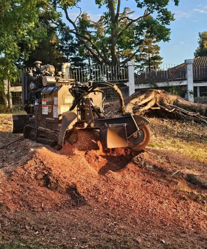 Stump Grinding - photo 1